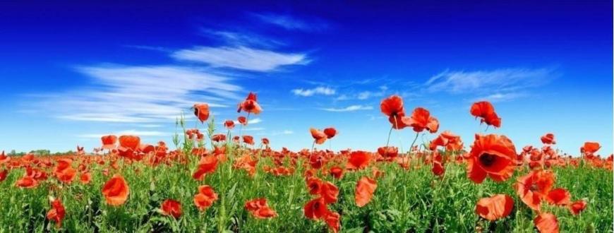 bőrgyógyász bőrgyógyászat budapest xi xxii xxi xxiii xx ix viii i xii magánrendelés